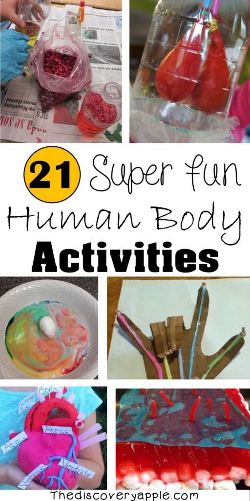21 Super Fun Human Body Activities and Experiments for Kids - The